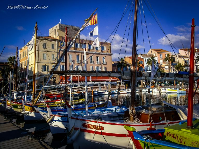Port Sanary-5-2011