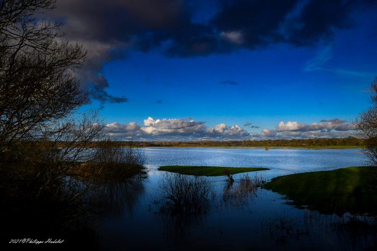 Photos nature du Cotentin: Les secrets enchanteurs des marais du Cotentin