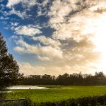 Les secrets enchanteurs des marais du Cotentin