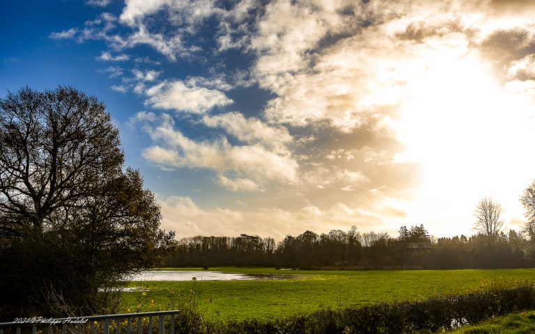 Les secrets enchanteurs des marais du Cotentin