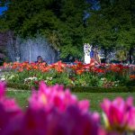 Photos détaillées du parc du Thabor à Rennes.