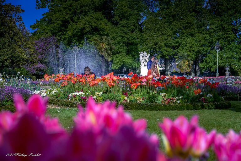Photos détaillées du parc du Thabor à Rennes.