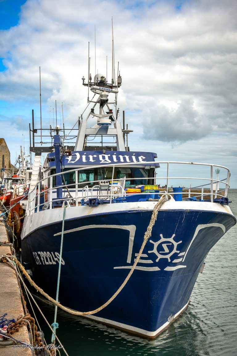 Une vue pittoresque de Barfleur et Cotentin, capturant leur charme authentique et historique.