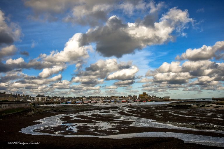 Une vue pittoresque de Barfleur et Cotentin, capturant leur charme authentique et historique.