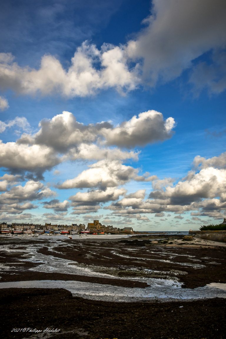 Photographie de paysage du Cotentin : marée basse dans le port de pêche de Barfleur, Val de Saire.