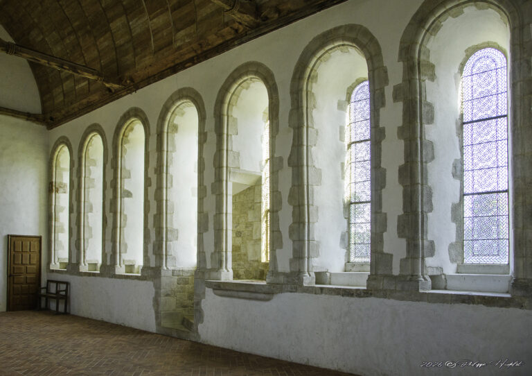 Immersion visuelle à l'Abbaye de la Lucerne, collection exclusive d'images historiques et artistiques.