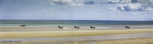 Photographie paysage Manche, Val de Saire : photo d'art de trot à cheval, Normandie, épreuve numérotée