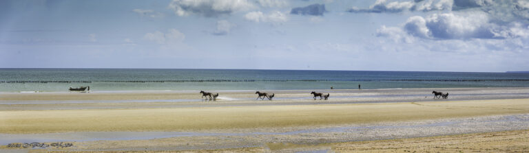 Photographie paysage Manche, Val de Saire : photo d'art de trot à cheval, Normandie, épreuve numérotée